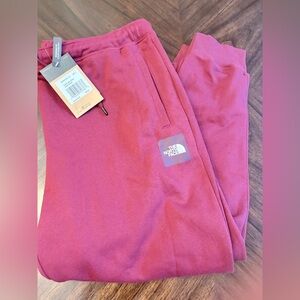 THE NORTH FACE Women's Box NSE Jogger  Plus Cordovan , X-Large New